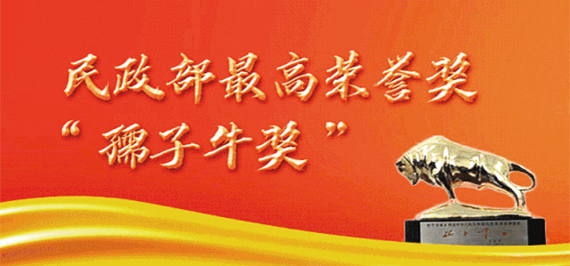 中国民政事业殡葬领域颁发最高奖